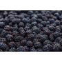 moras fruto