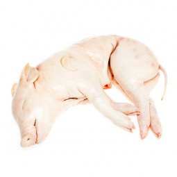 cochinillo fresco segovia comprar online