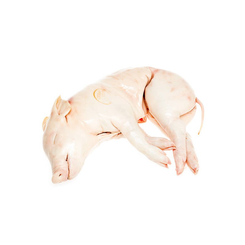 cochinillo fresco segovia comprar online