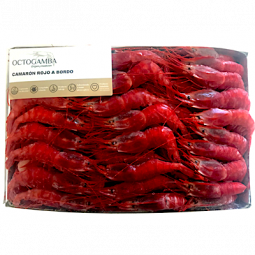 camarón periquito caja de 2,5 kg