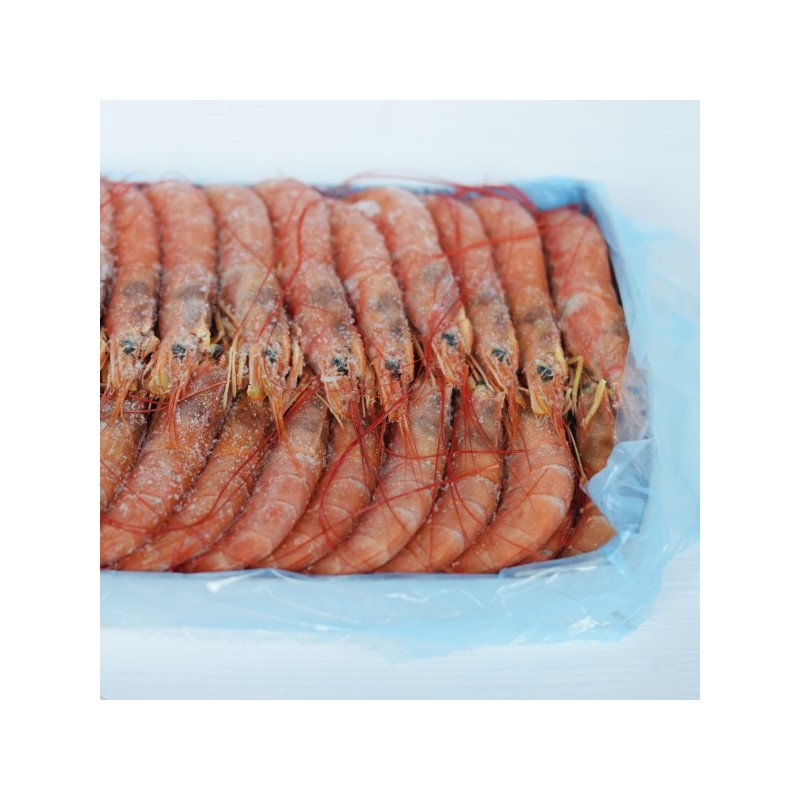 caja gamban abordo 2 kg