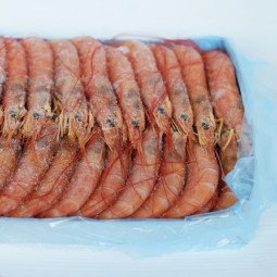 caja gamban abordo 2 kg