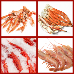 Mariscada Premium 8 Kg