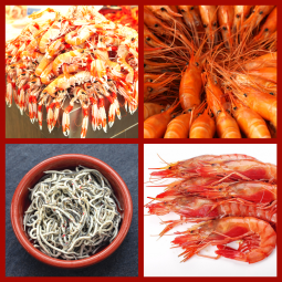 mariscada del capitan 5,5 kg