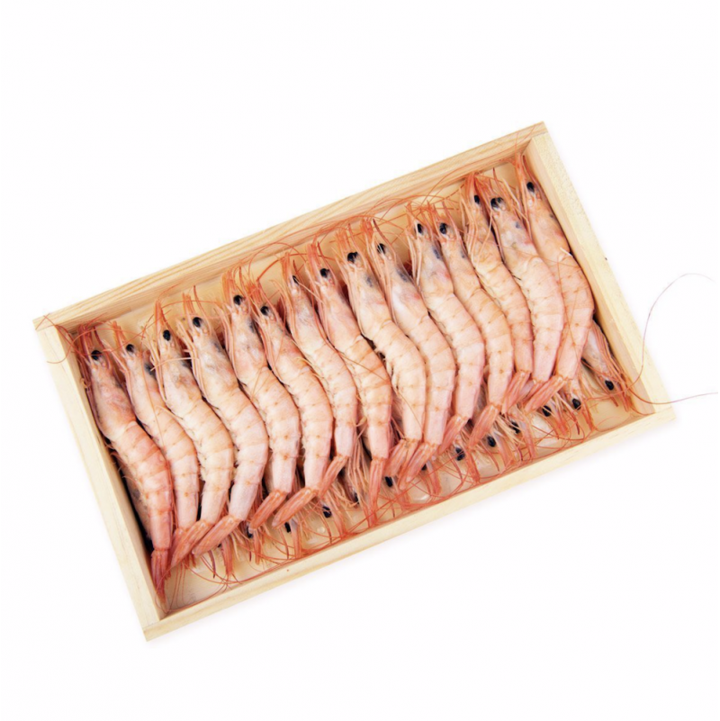 gamba blanca selecta xl