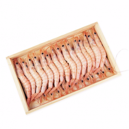 gamba blanca selecta xl