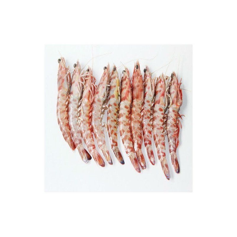 langostino salvaje tigre