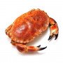 buey de mar cocido