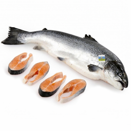 salmón noruego superior en rodajas