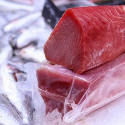 lomo atún aleta amarilla en tacos