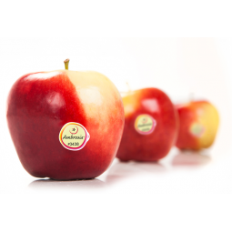 manzana ambrosia