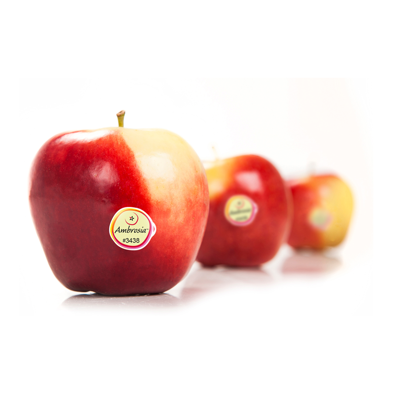 manzana ambrosia