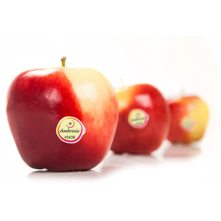manzana ambrosia