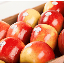 manzana ambrosia