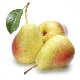 pera ercolina