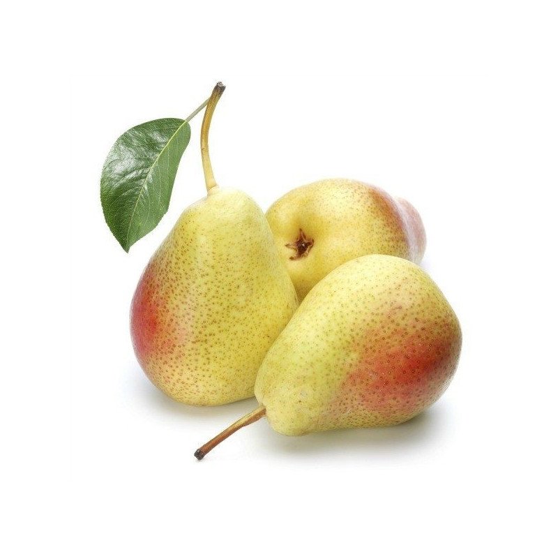 pera ercolina
