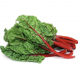 acelgas rojas en bandeja