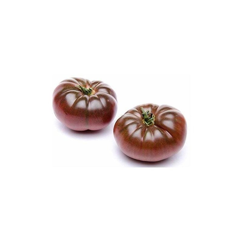 tomate cherokee tomate cherokee
