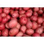 patatas rojas