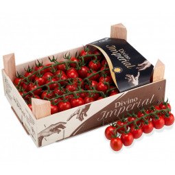 tomates cherry divinos