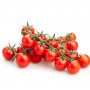 tomate cherry rama
