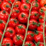 tomate cherry rama