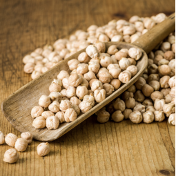 garbanzo ecologico pedrosillano