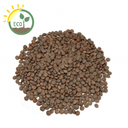 lentejas pardinas ecologicas