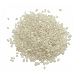 arroz bomba