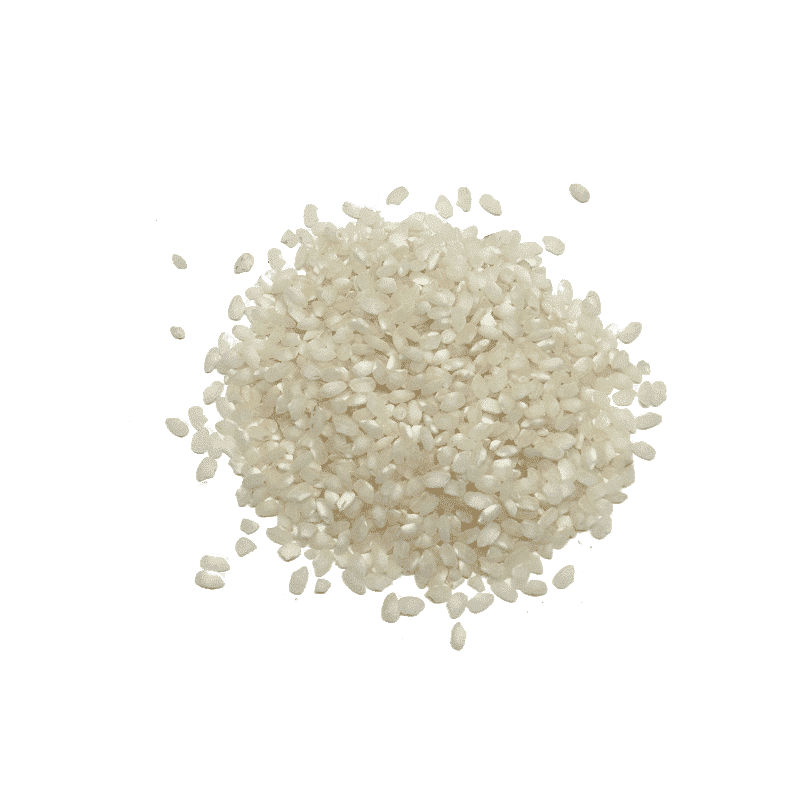arroz bomba