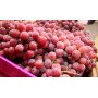 uvas red globe