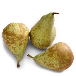 Pera Conferencia Calibre 24 1Kg