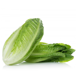 Lechuga Española Bolsa 2 piezas