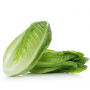 Lechuga Española Bolsa 2 piezas