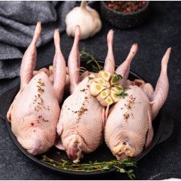 Perdiz de Granja Congelada