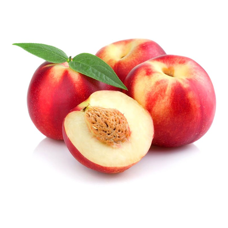 nectarina
