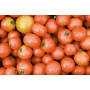 tomates ensalada calibre 25