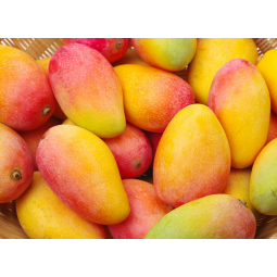 mangos