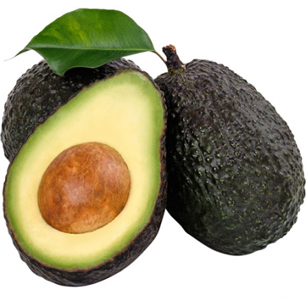 aguacate trop aguacate trop