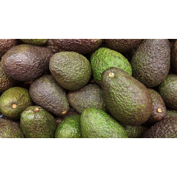 aguacates