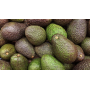 aguacates
