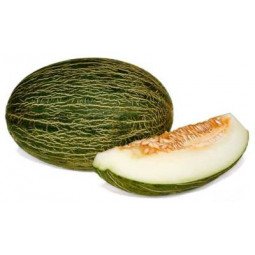 melón piel de sapo