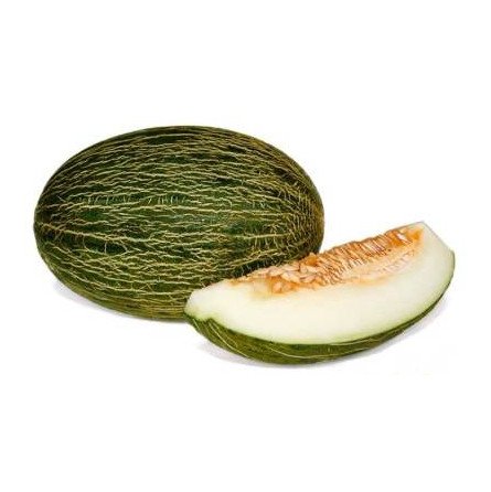 melón piel de sapo