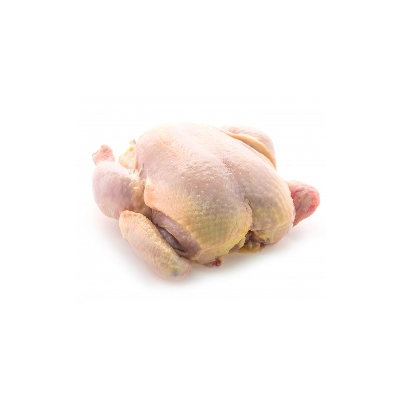 pollo entero fresco