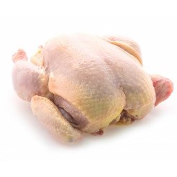 pollo entero fresco
