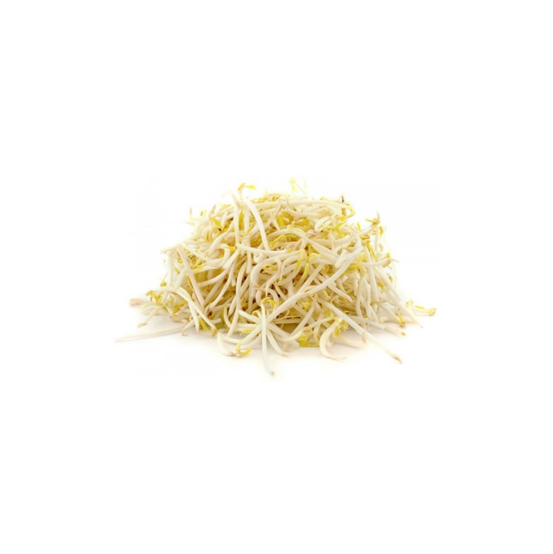 germinado de soja