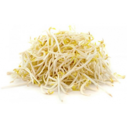 germinado de soja