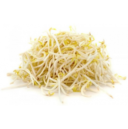 germinado de soja germinado de soja