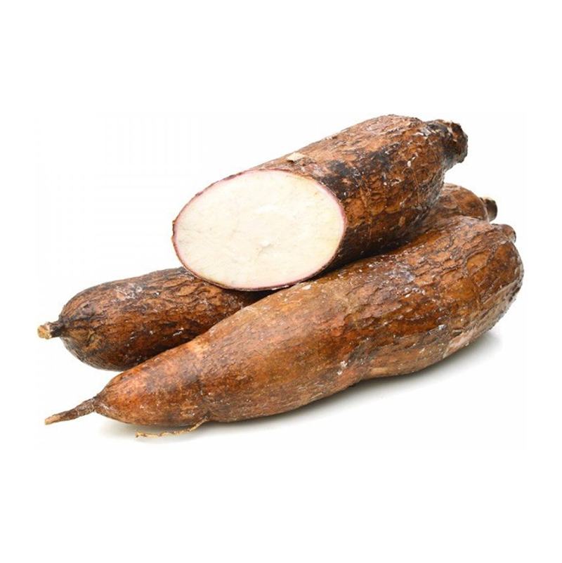 yuca