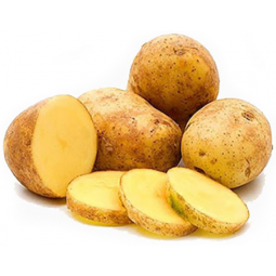 patata agria primadona